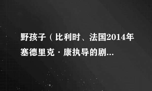 野孩子（比利时、法国2014年塞德里克·康执导的剧情电影）