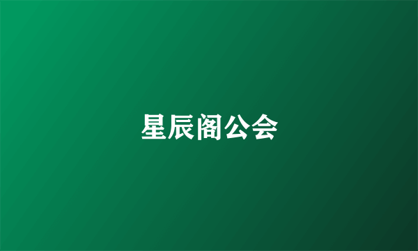 星辰阁公会