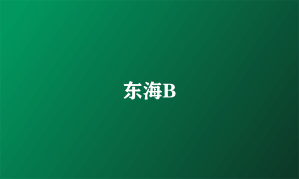 东海B