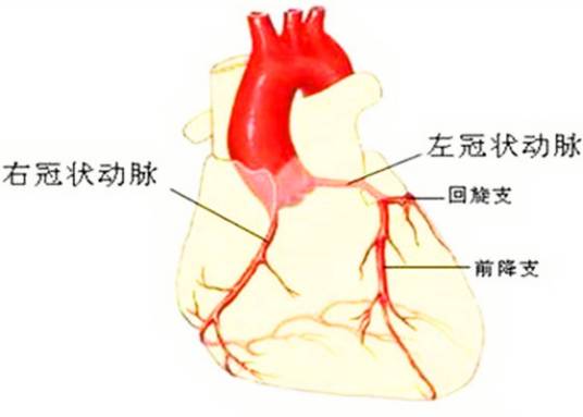 冠状动脉硬化