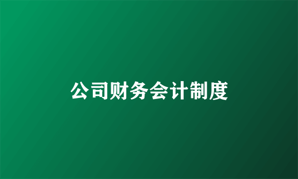 公司财务会计制度