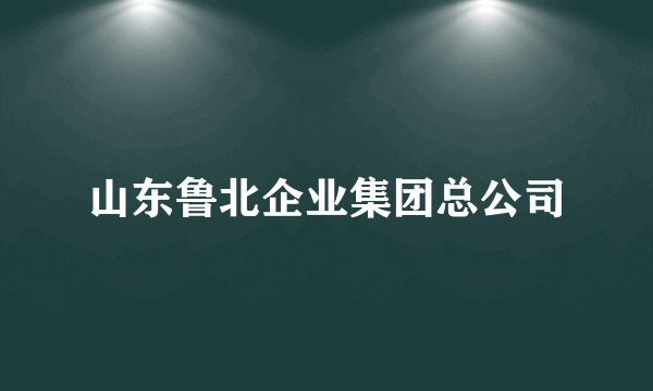 山东鲁北企业集团总公司