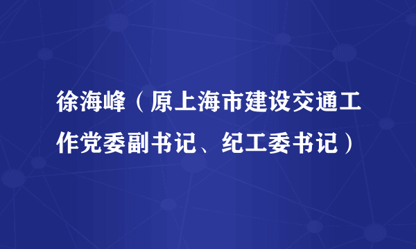 徐海峰（原上海市建设交通工作党委副书记、纪工委书记）