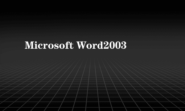 Microsoft Word2003