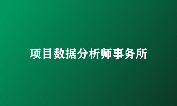 项目数据分析师事务所