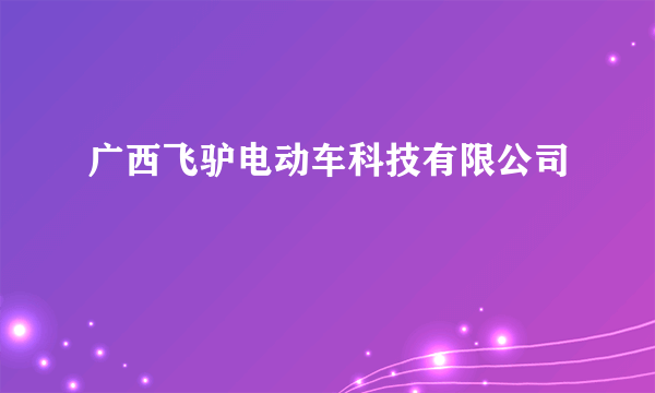 广西飞驴电动车科技有限公司