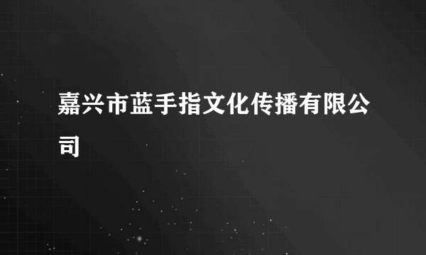 嘉兴市蓝手指文化传播有限公司