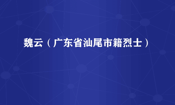 魏云（广东省汕尾市籍烈士）