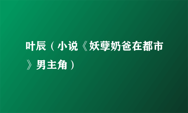 叶辰（小说《妖孽奶爸在都市》男主角）