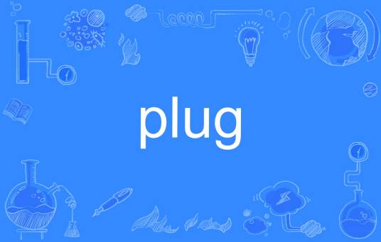 Plug（英文单词）