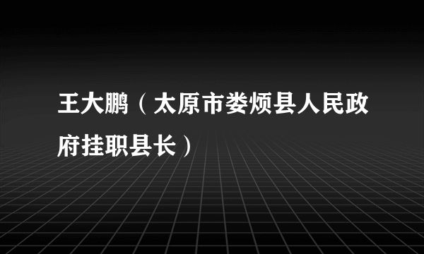 王大鹏（太原市娄烦县人民政府挂职县长）