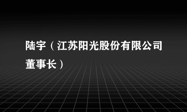 陆宇（江苏阳光股份有限公司董事长）