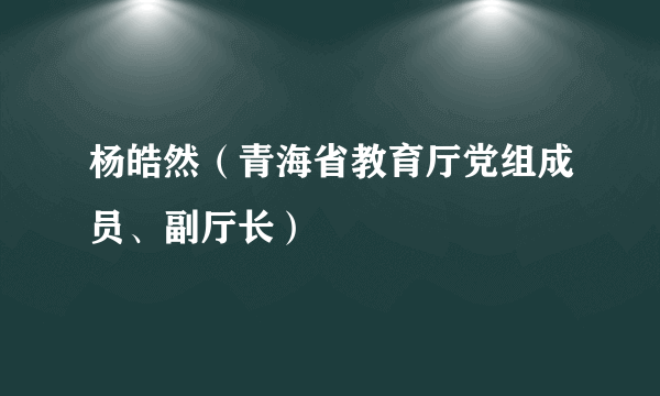 杨皓然（青海省教育厅党组成员、副厅长）