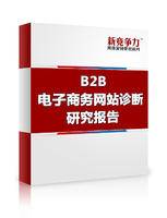 B2B电子商务网站诊断报告