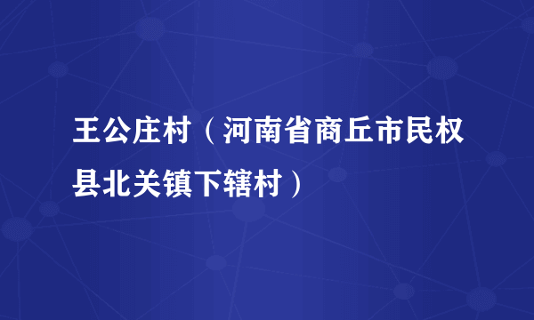 王公庄村（河南省商丘市民权县北关镇下辖村）