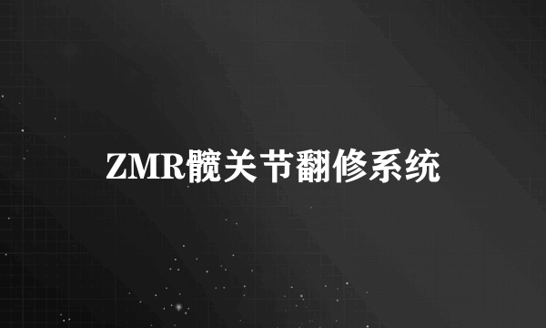 ZMR髋关节翻修系统