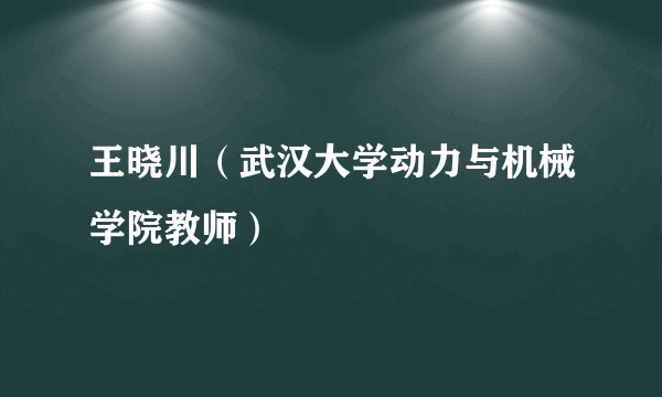 王晓川（武汉大学动力与机械学院教师）