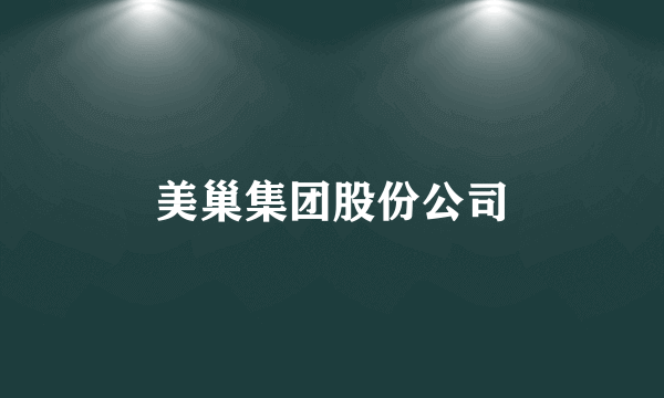 美巢集团股份公司