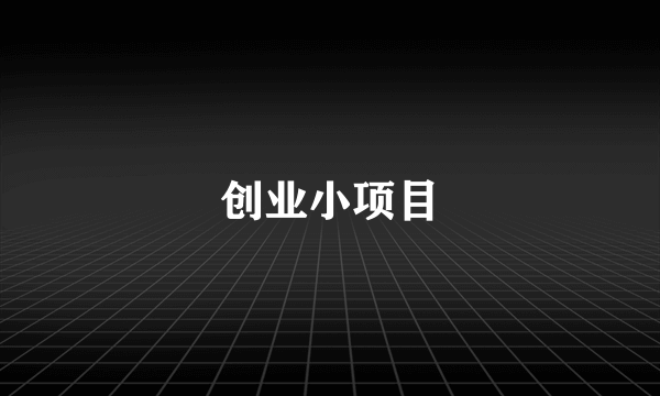 创业小项目