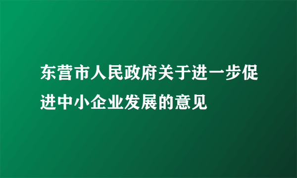 东营市人民政府关于进一步促进中小企业发展的意见