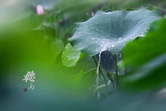 听雨（初国卿创作的散文）