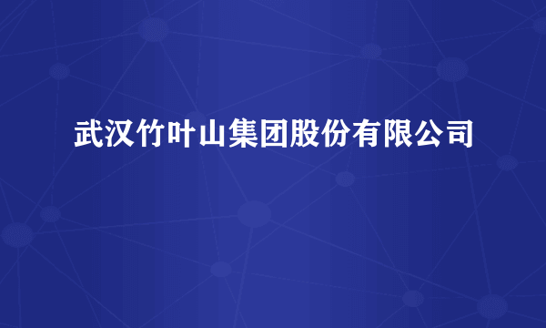 武汉竹叶山集团股份有限公司