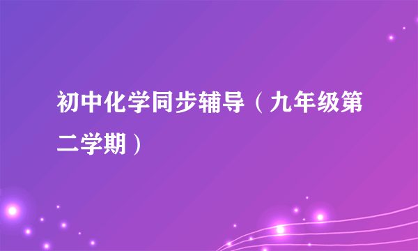 初中化学同步辅导（九年级第二学期）