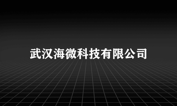 武汉海微科技有限公司