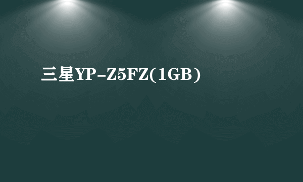 三星YP-Z5FZ(1GB)