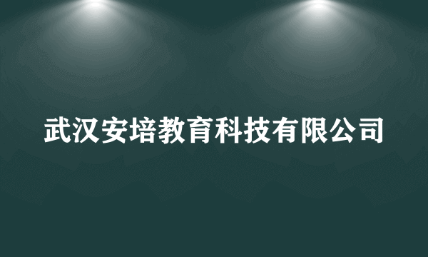 武汉安培教育科技有限公司