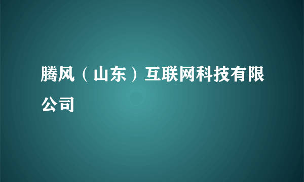 腾风（山东）互联网科技有限公司