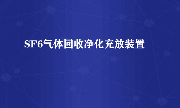 SF6气体回收净化充放装置