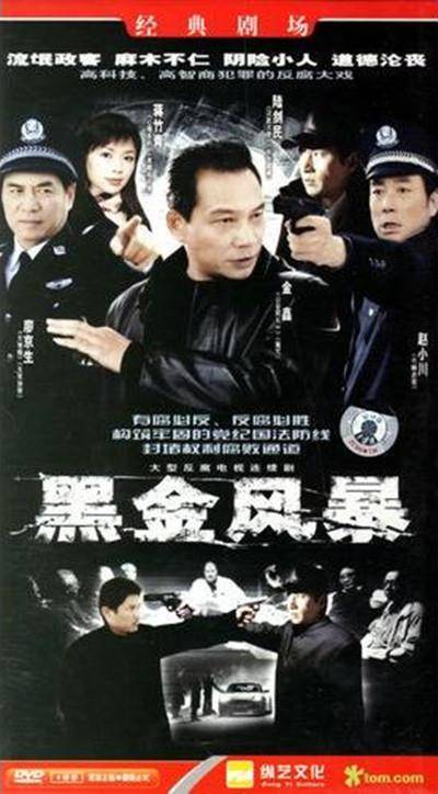 黑金风暴（2007内地电视剧）