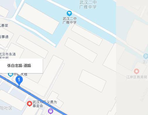 张自忠路（武汉张自忠路）