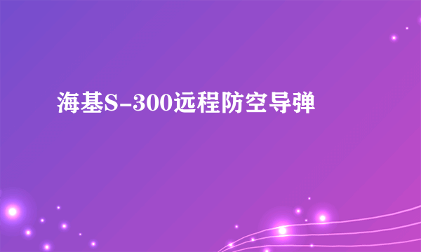 海基S-300远程防空导弹