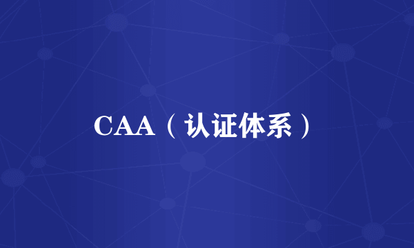 CAA（认证体系）