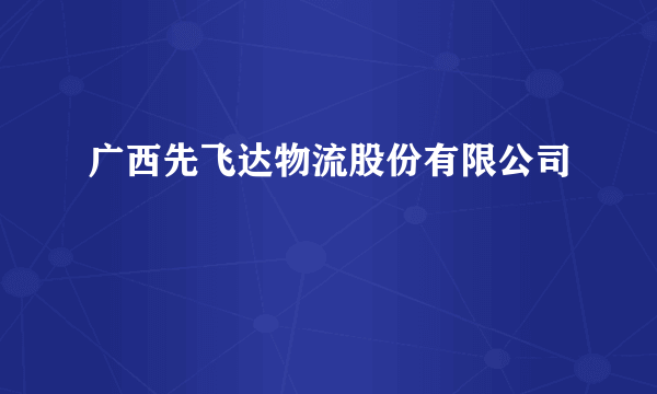 广西先飞达物流股份有限公司