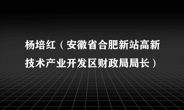 杨培红（安徽省合肥新站高新技术产业开发区财政局局长）