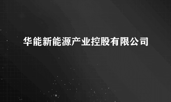 华能新能源产业控股有限公司