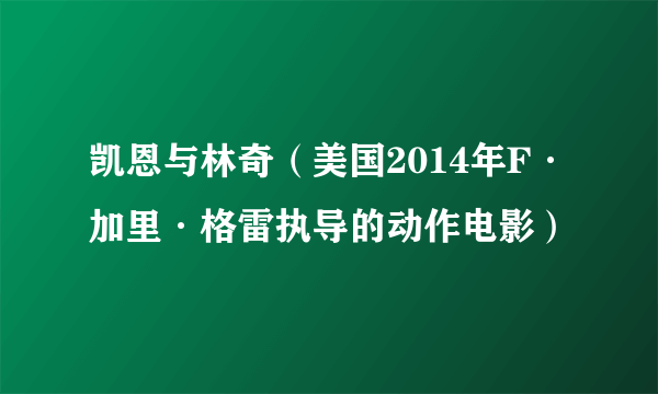 凯恩与林奇（美国2014年F·加里·格雷执导的动作电影）