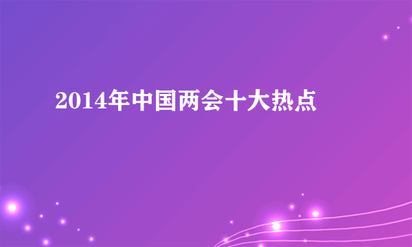 2014年中国两会十大热点