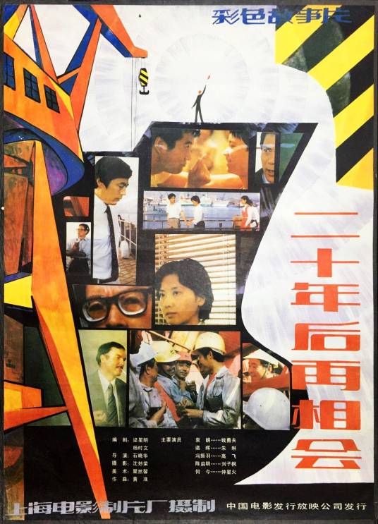 二十年后再相会（1984年石晓华执导的电影）