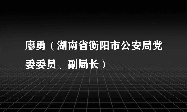 廖勇（湖南省衡阳市公安局党委委员、副局长）