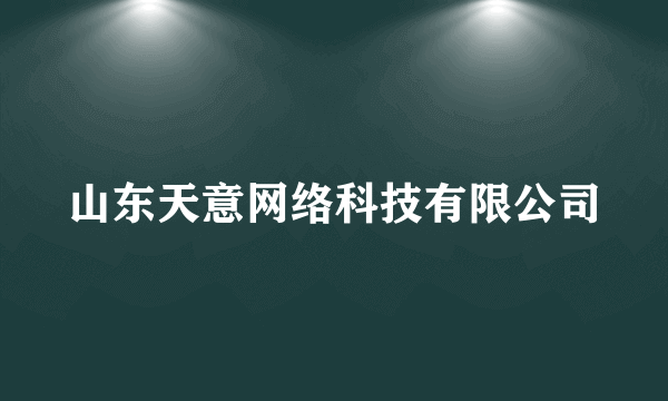 山东天意网络科技有限公司