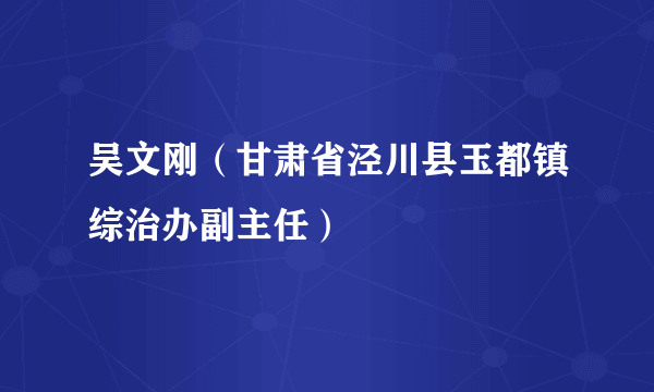 吴文刚（甘肃省泾川县玉都镇综治办副主任）