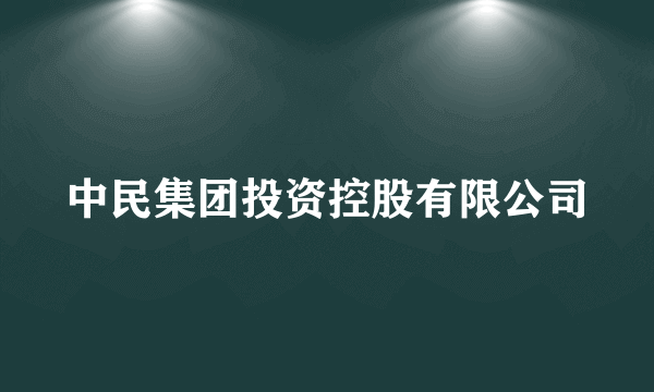 中民集团投资控股有限公司