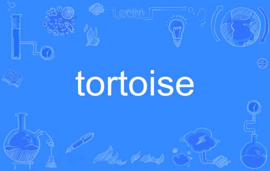 Tortoise（英文单词）