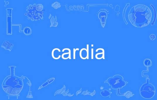 cardia