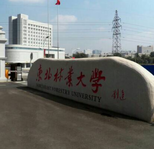 东北林业大学网络信息中心