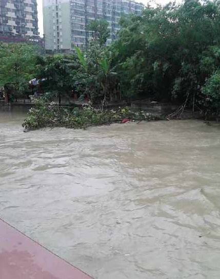 2013年四川特大暴雨灾害事件